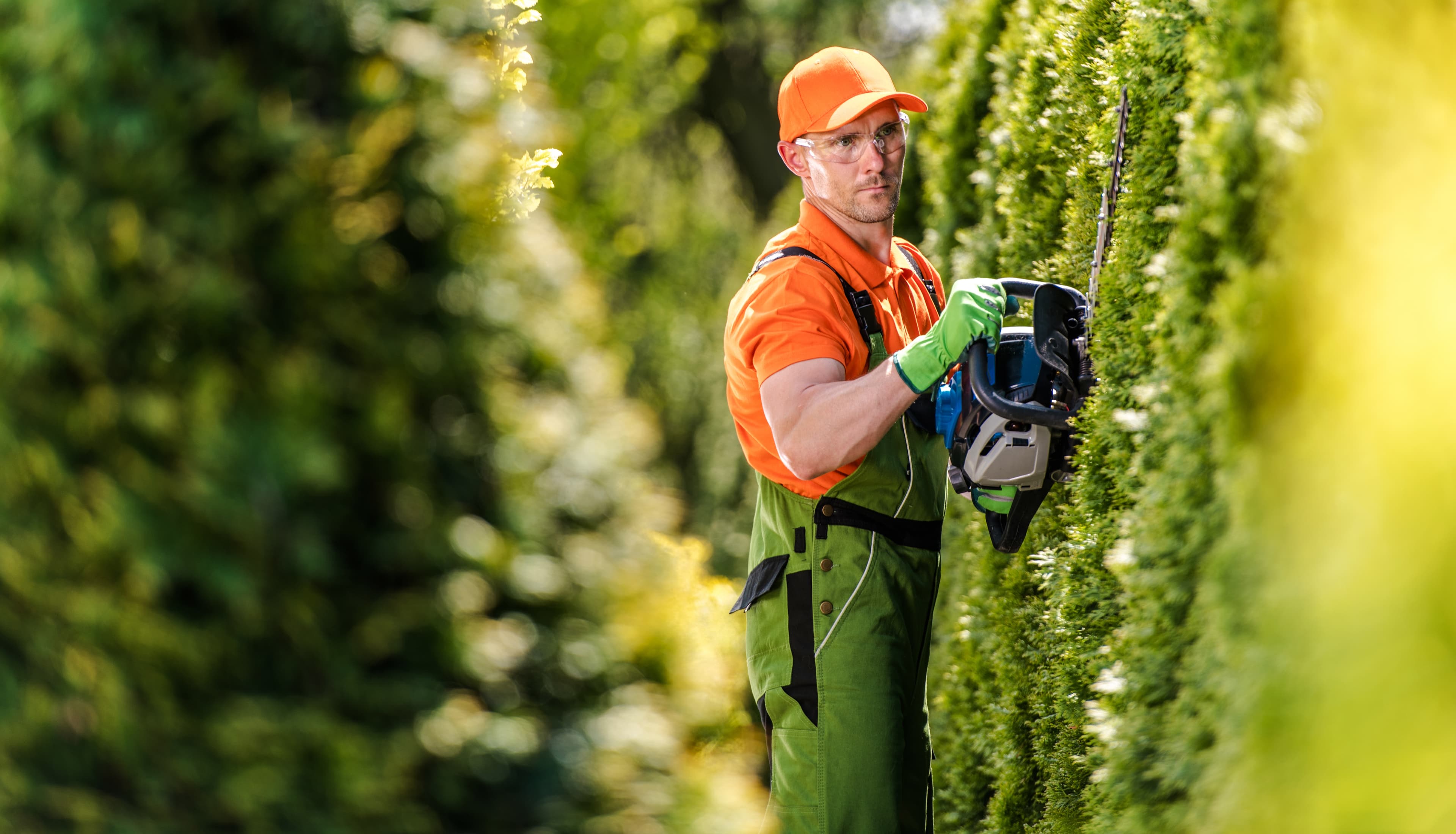 Hedge Trimming Service