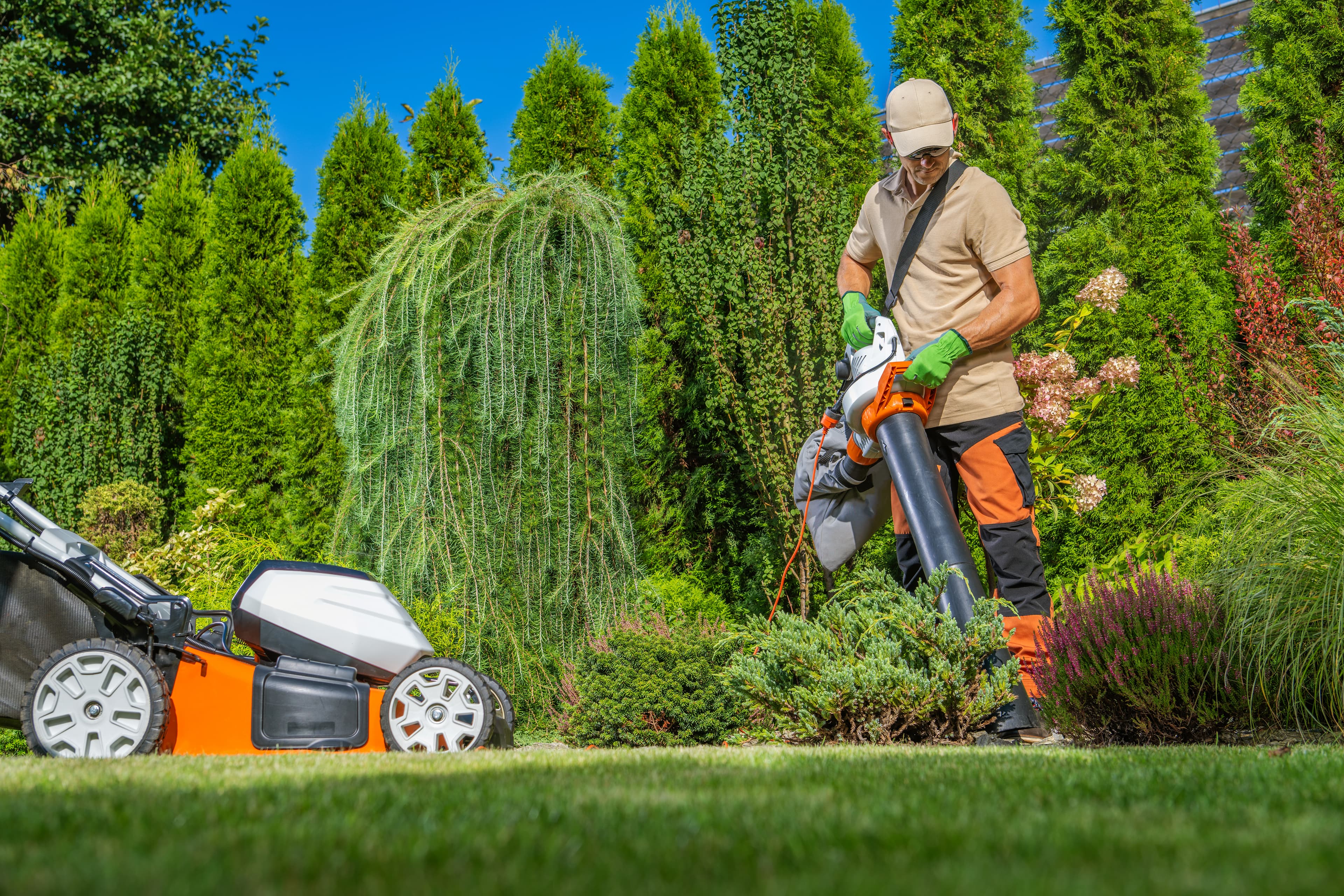 Lawn Mowing & Maintenance Service